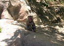  (2008-02-28 18:31:45)