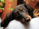  (2008-02-28 18:31:46)