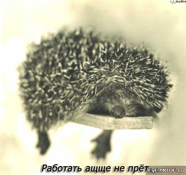 2008-04-02 17:15:34: 