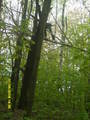  (2008-05-04 10:28:54)