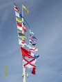  (2008-05-11 21:14:39)