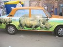  (2008-05-20 07:33:00)