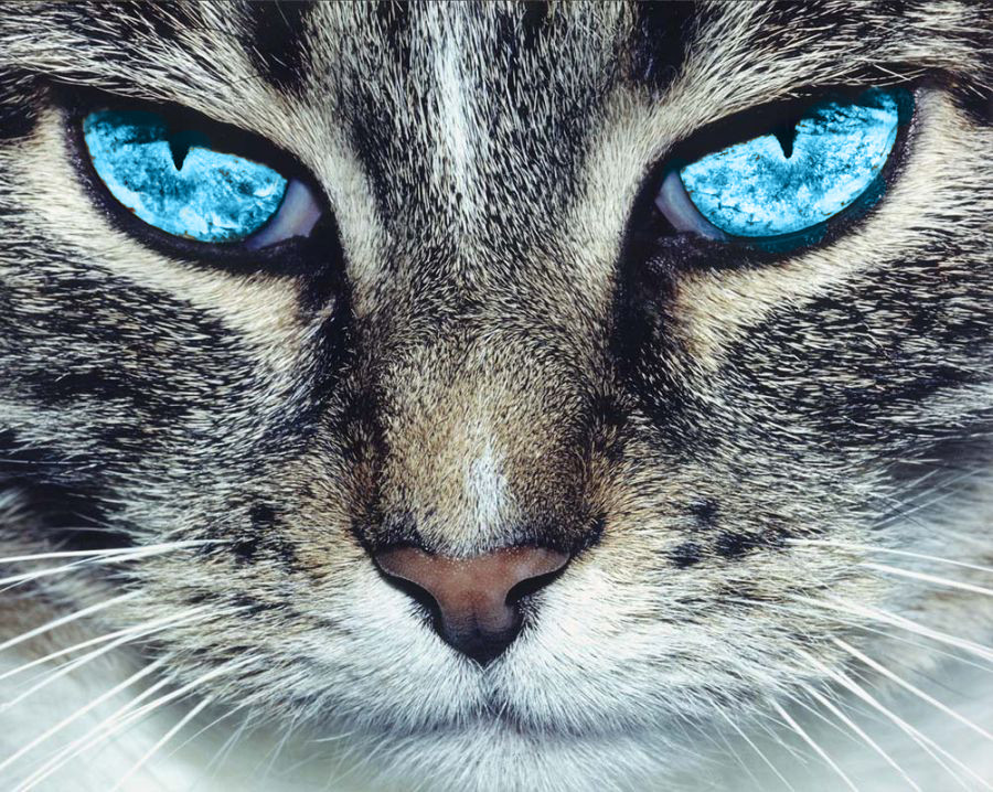 2008-05-30 05:34:29: а воть и я=)))))))))