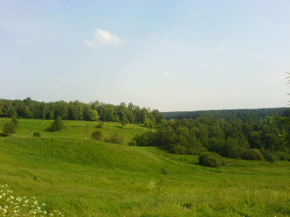 2008-06-14 00:38:38: Москва, парк Царицыно