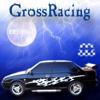 2008-06-18 22:13:53: GrossRacing_new