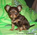 Cass22:  | 2008-06-30 14:58:59