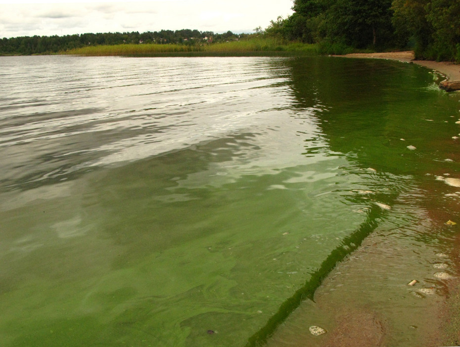 2008-08-05 18:33:11: вода повсюду вода... (с)