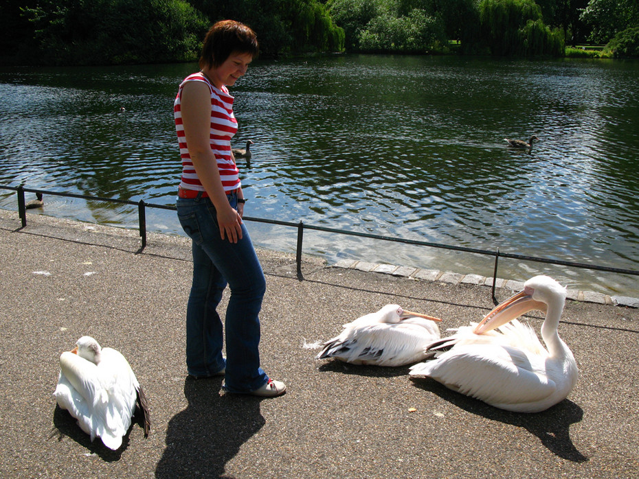 2008-08-25 12:10:07: "in the park"