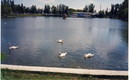 Лебединое Озеро (2008-09-17 06:36:33)