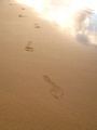 my footprints) (2008-08-25 20:27:46)