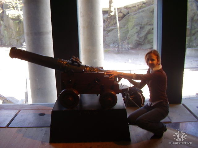 2008-10-03 23:34:50: музейная пушка