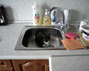 Natusechka: ..."мыть посуду - мое любимое занятие"... | 2008-10-10 22:25:37