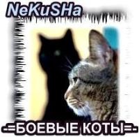 2008-10-28 05:31:08: НеКа и синдикат 'Боевые Коты' [2]