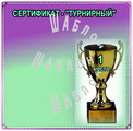 Турнирный - вариант '3' (2008-11-06 22:41:50)