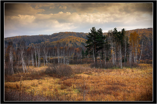 2008-11-17 12:45:04: На даче