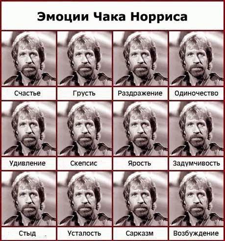 2008-11-20 15:10:06: Эмоции Чака Норриса