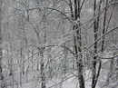 Зима пришла 20.11.08 (вид из окна, вправо) (2008-11-20 20:00:31)