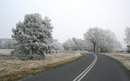NeedSpeedy:  | 2008-11-23 17:11:32