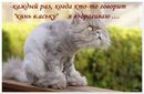  (2008-11-26 23:51:21)