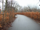  (2009-02-02 02:28:56)