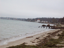 (2009-02-02 02:28:57)