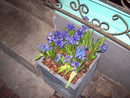 (2009-02-02 02:31:29)