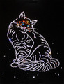 Юлианна кошка (2009-03-10 03:56:47)
