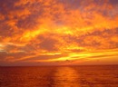 природа (2009-03-28 16:35:10)