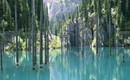 затопленный лес (2009-03-28 16:37:27)