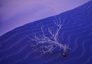  (2009-03-28 16:41:01)