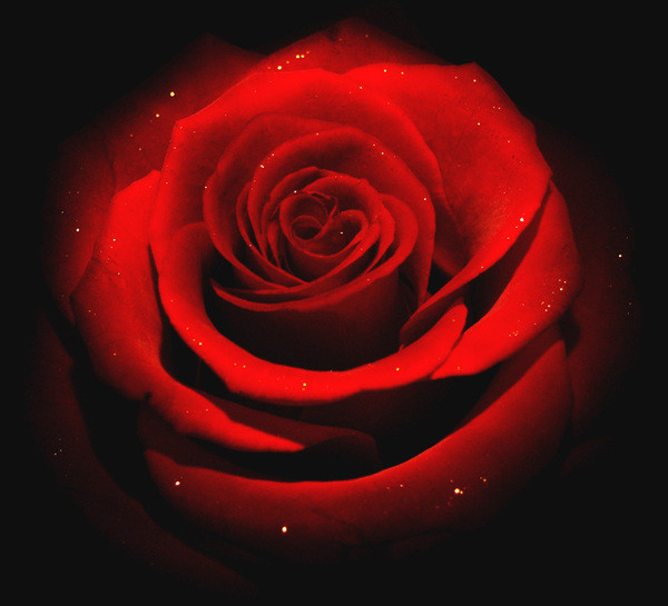 2009-03-28 16:44:35: 