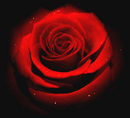  (2009-03-28 16:44:35)
