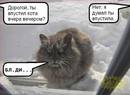 Котам посвящается ) (2009-04-08 23:19:05)