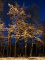 (2009-05-21 18:40:02)