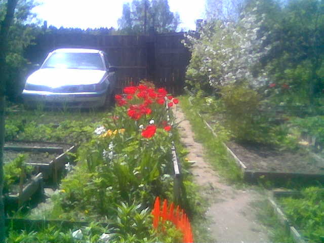 2009-06-03 10:21:37: 