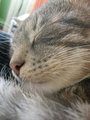  (2009-06-09 16:30:00)