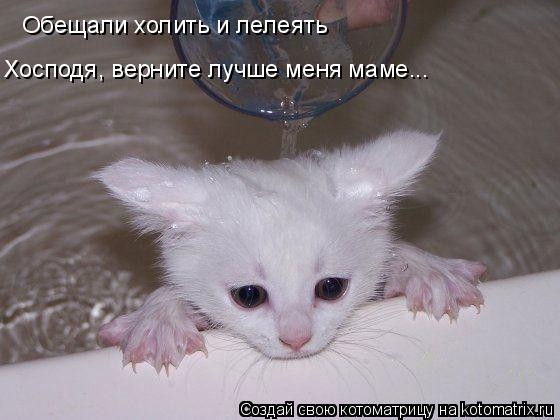 2009-06-14 10:13:36: 