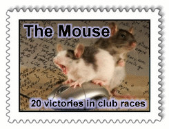2009-02-19 11:21:42: The Mouse - 20 побед в клубных гонках