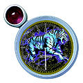 swt:  | 2009-02-20 12:29:12