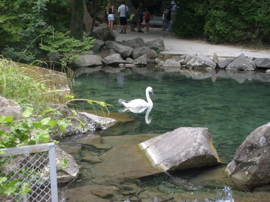 2009-07-27 17:27:29: В парке у Воронцовского дворца