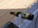 непонятная композиция из непочатой бутылки пива и забора (2009-08-03 01:03:02)