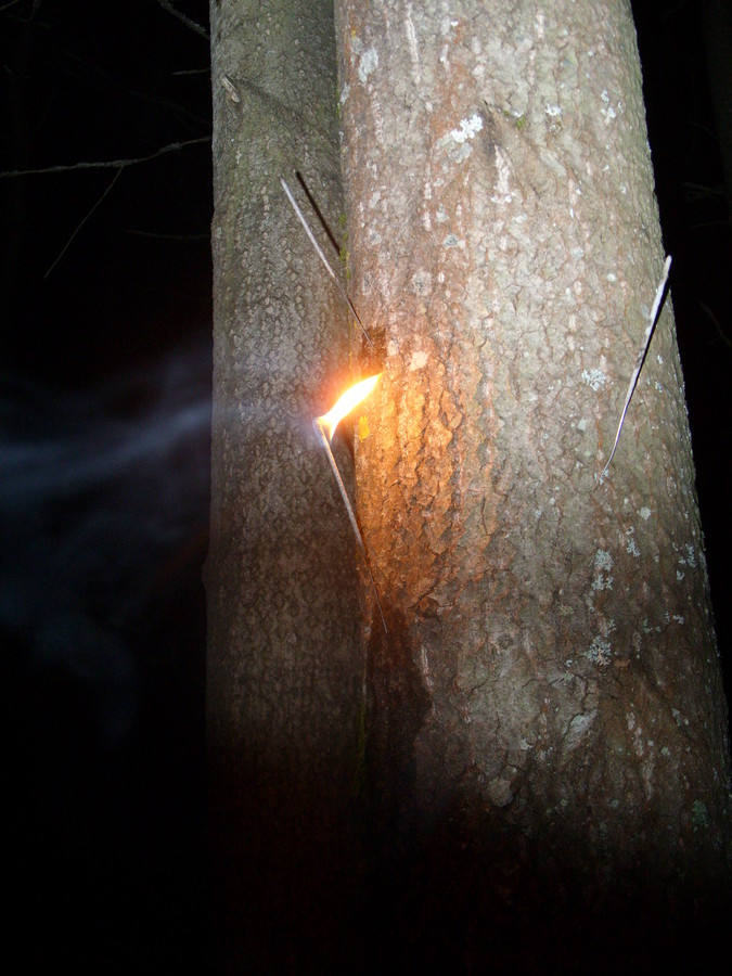 2009-08-03 01:42:45: бенгальский огонь облитый розжигом. горит тока розжиг.