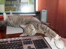 Вот в таких условиях приходится обычно ездить))) (2009-08-05 19:22:34)