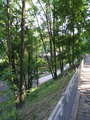  (2009-08-29 17:35:22)