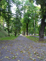  (2009-08-29 17:35:23)
