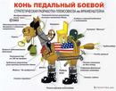 боевой конь старлея (2009-12-19 12:14:05)