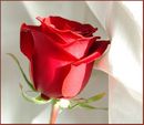  (2010-01-05 15:20:11)