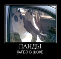О_О (2010-03-09 22:19:12)