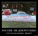  (2010-04-20 12:54:43)