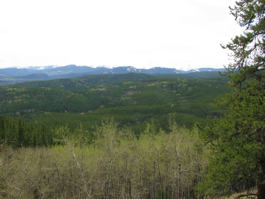 2010-05-18 05:30:24: Elbow River  - Fullerton Loop  Kananaskis